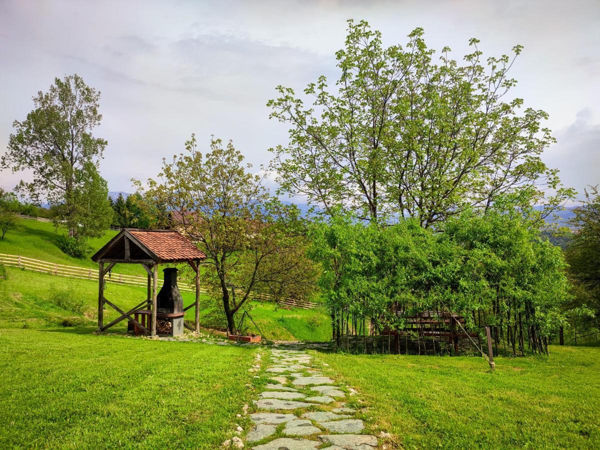 Willa Casa Wezly Măgura Zewnętrze zdjęcie