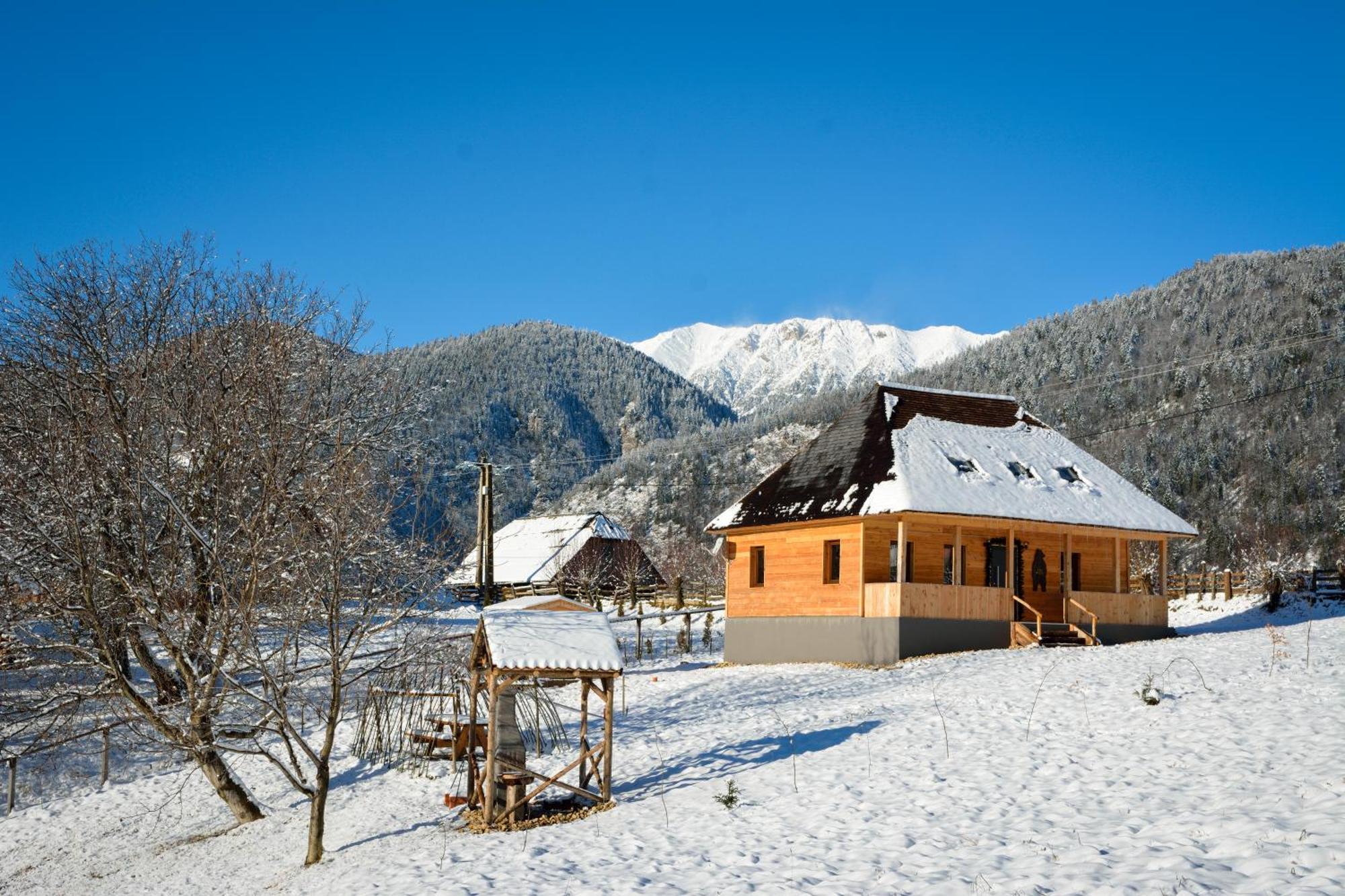 Willa Casa Wezly Măgura Zewnętrze zdjęcie